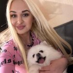 Модель Вивьен